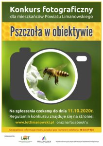 Read more about the article Lokalna Organizacja Turystyczna Powiatu Limanowskiego zaprasza do udziału w Konkursie Fotograficznym „Pszczoła w obiektywie”