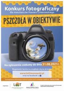 Lokalna Organizacja Turystyczna Powiatu Limanowskiego zaprasza do udziału w Konkursie Fotograficznym „Pszczoła w obiektywie”