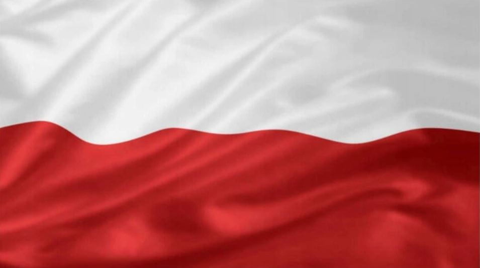 You are currently viewing FLAGI NA 103 ROCZNICĘ ODZYSKANIA NIEPODLEGŁOŚCI