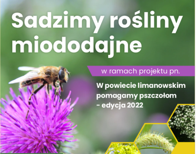 You are currently viewing Sadzimy rośliny miododajne.