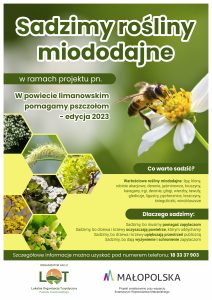 Read more about the article Sadzimy rośliny miododajne – edycja 2023