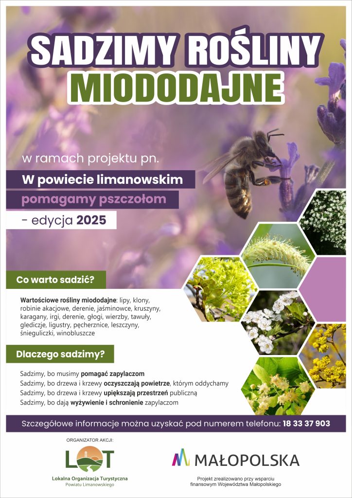plakat sadzimy rośliny miododajne od góry w tle obrazek z pszczoła na kwiatku poniżej tekst dlaczego warto sadzić po prawej plaster miodu z roślinami wewnątrz. u dołu logo małopolska i lot.